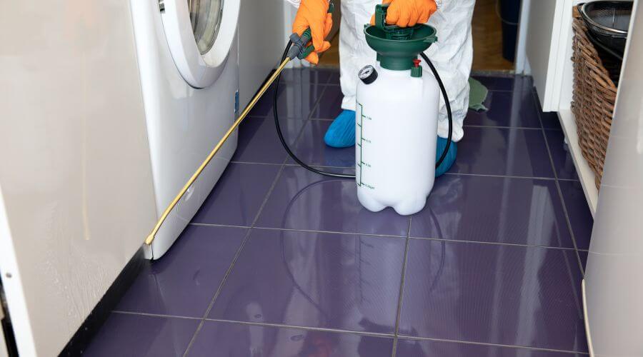 Why choose Termite Treatment White Oak for termite treatment in White Oak